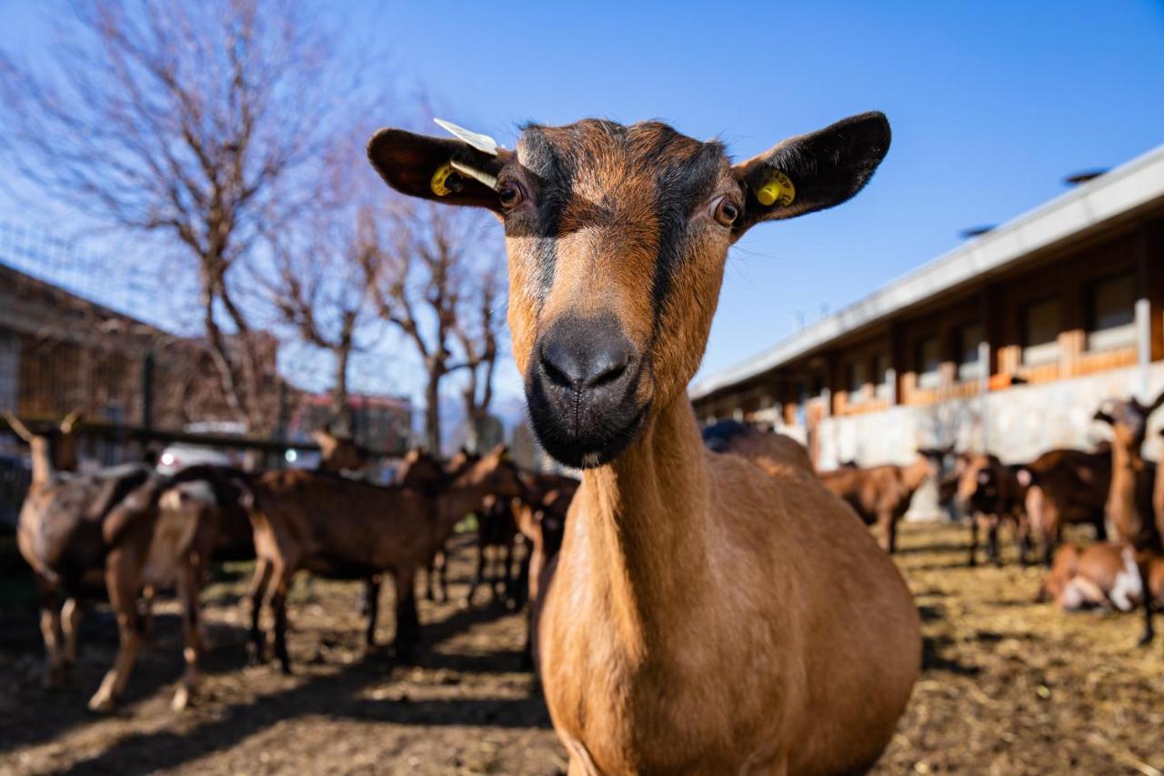 Agriturismo La Fiorida Villa Mantello Luaran gambar